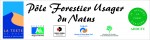 http://noelbonnieuverslatoile.hautetfort.com/media/02/02/1006458621.jpg